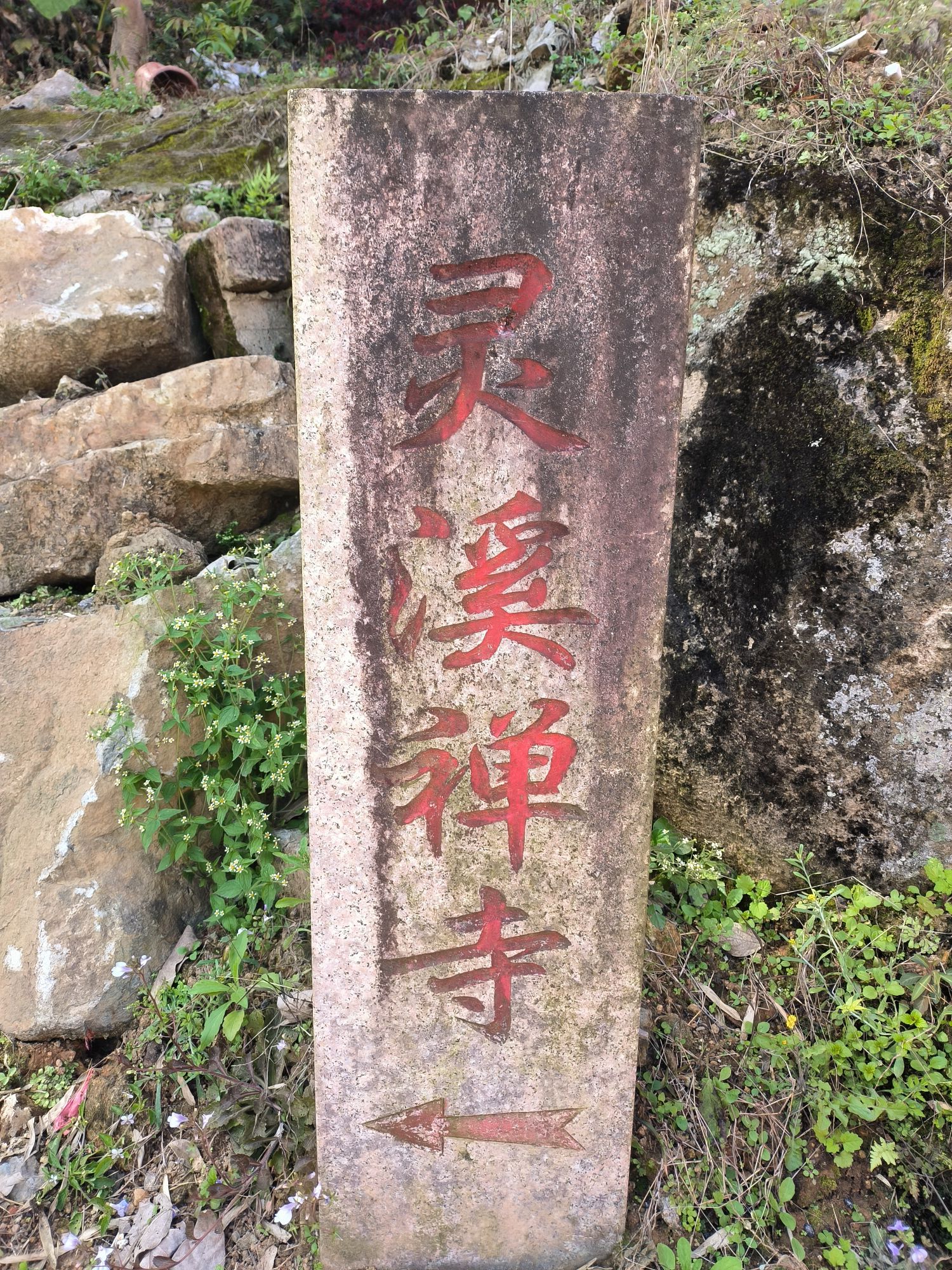 灵溪禅寺实景照片