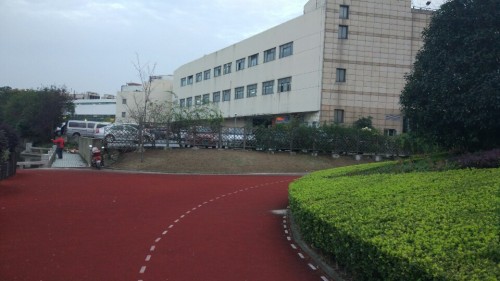 绿色项链旅行图片 3