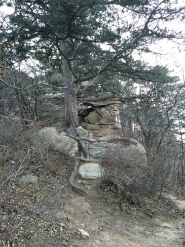 老爷岭风景区旅行图片 1