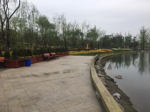 通济温泉花海景区旅行图片 2