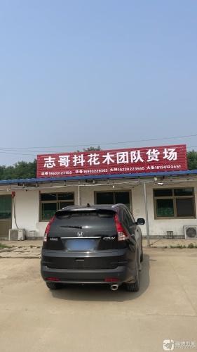 志哥抖花木团队货场