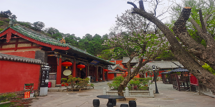 玄中寺实景照片