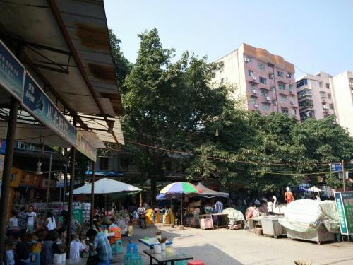 蓬安广场旅行图片 2