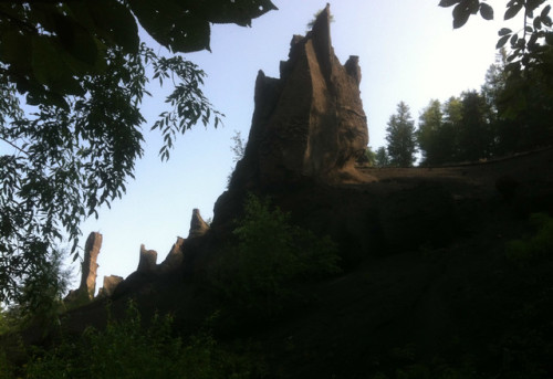 峡谷浮石林旅行图片 1