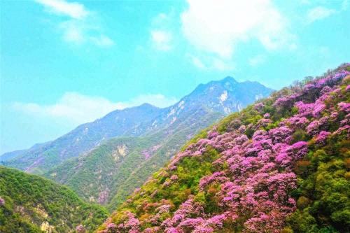 太平国家森林公园