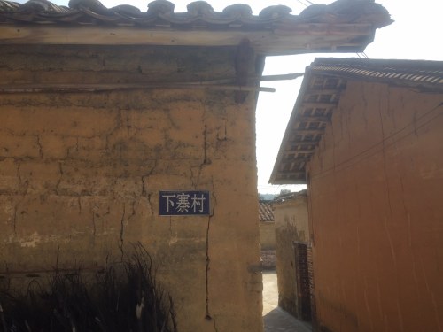 深坑蛇影旅行图片 3
