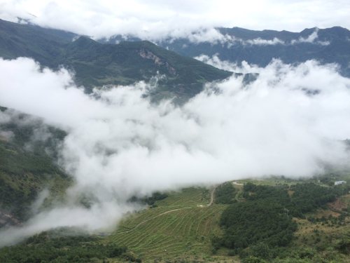 中都镇万亩油菜花田旅行图片 1