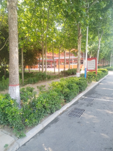 雅集公园-游雅墓遗址