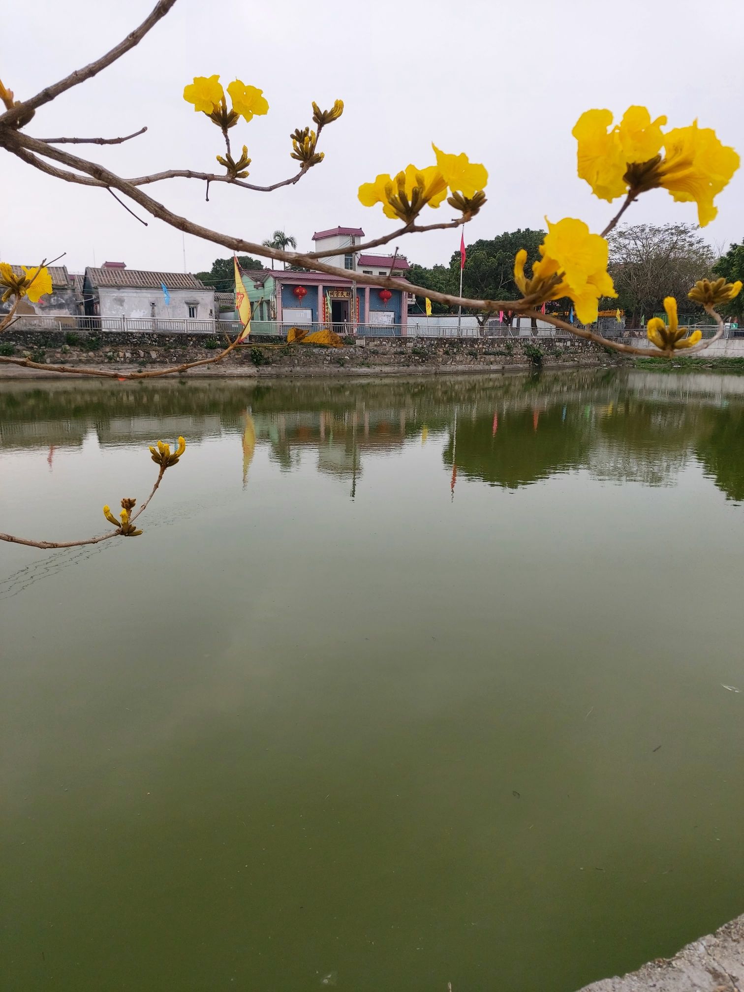 胡氏宗祠(广海房)实景照片