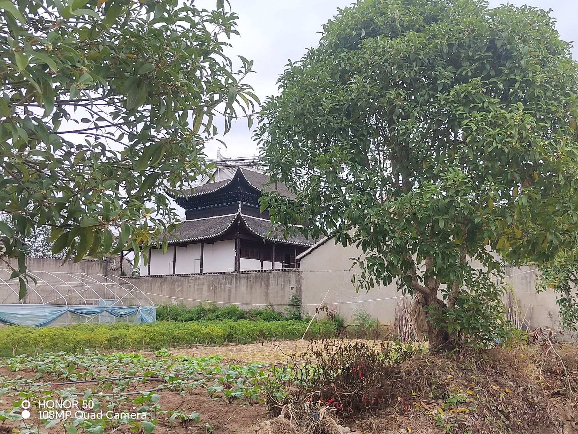 江东寺实景照片