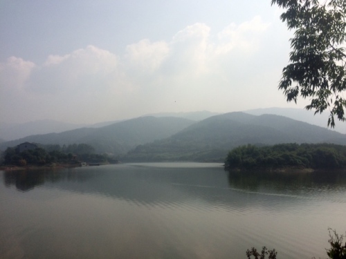 迎风湖国家湿地公园旅行图片 1