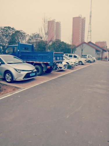 黄河体育公园旅行图片 2