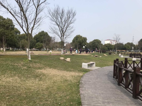 泖港镇健康主题公园旅行图片 3