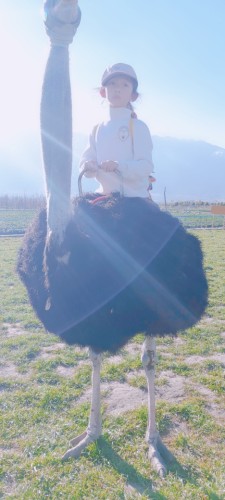 清花湾观景码头旅行图片 3