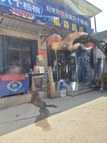 定州市福森超市
