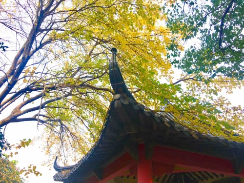 烟墨公园旅行图片 3