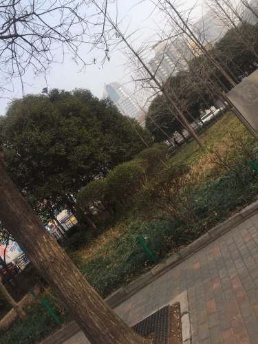 关虎屯游园旅行图片 1