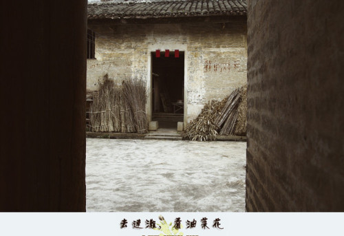光二大屋旅行图片 1