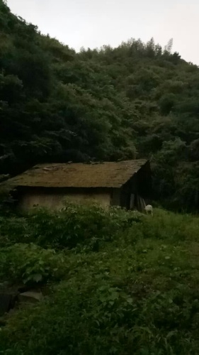 衡阳市罗州山风景名胜旅游区旅行图片 3