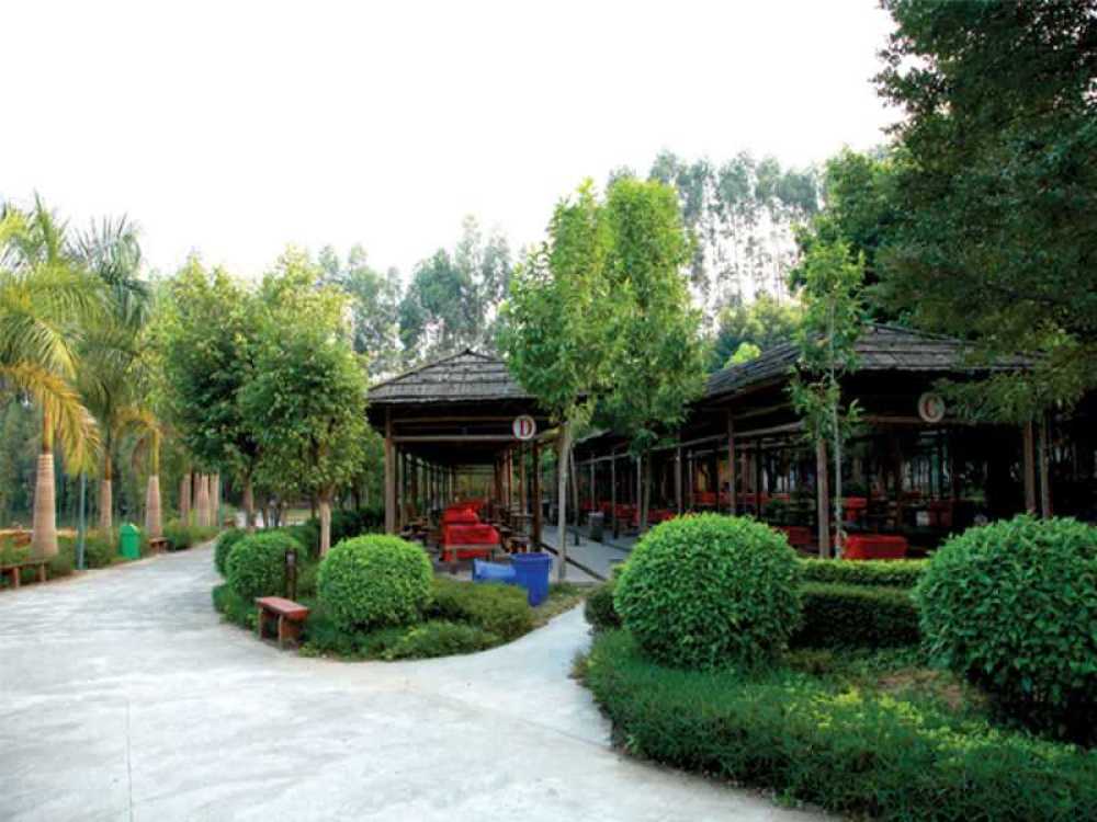万竹园景点图片