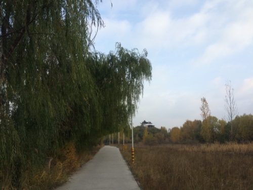 鱼儿湾公园旅行图片 3
