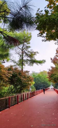 青枫公园-地景虹道