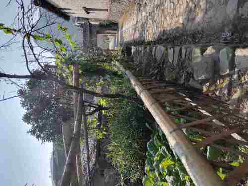 埭头古村旅行图片 1