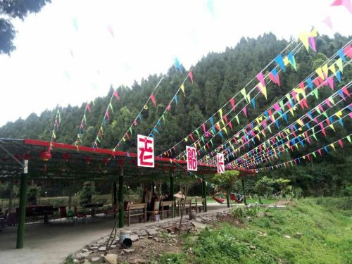 龙神垭景区旅行图片 3