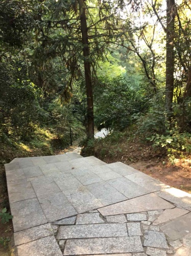 龙山公园旅行图片 3