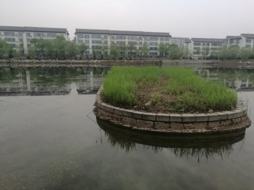 铃铛湖状元岛旅行图片 2