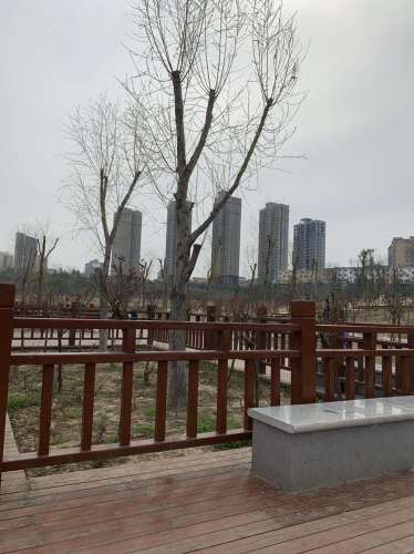淮渎公园旅行图片 2