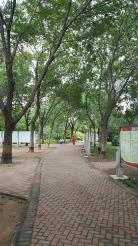 珠江公园旅行图片 1