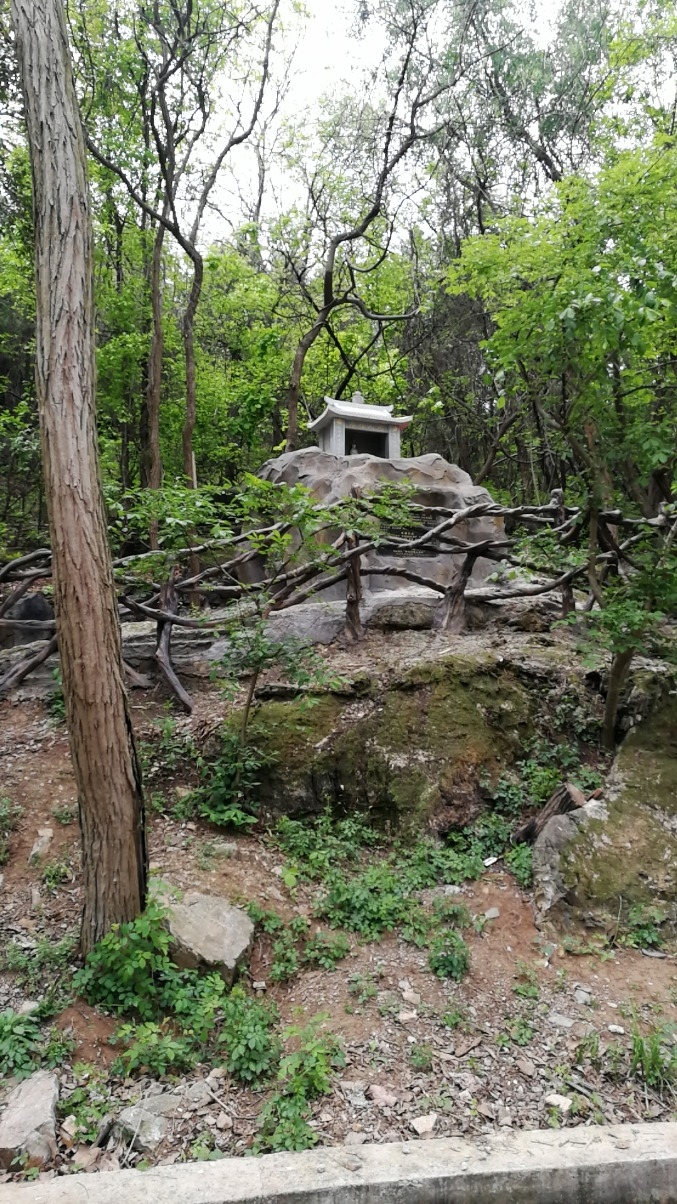 地藏祈福庙实景照片