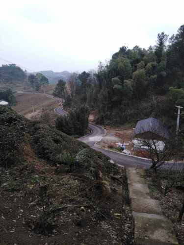 重庆·南川中国生态大观园旅行图片 2