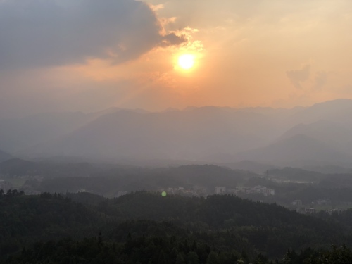 金丰花海旅行图片 2