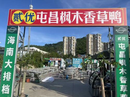 贰优香草鸭·椰子鸡·海南大排档(南边海店)