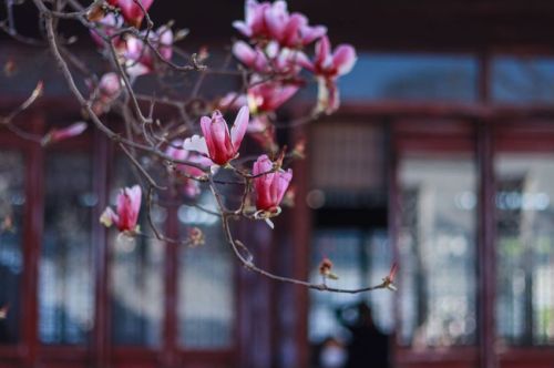 网师园现场照片 6