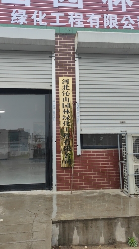 河北沁山园林绿化工程有限公司