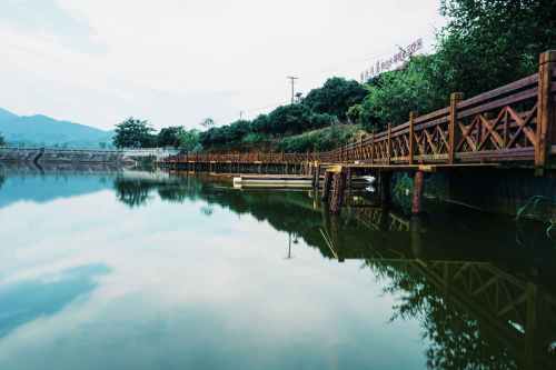 清湖荔枝生态园旅行图片 1