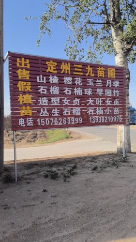 定州三九苗圃