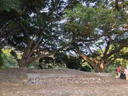 饶北文化生态公园旅行图片 3