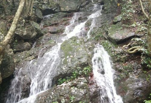 灵通岩风景区旅行图片 2