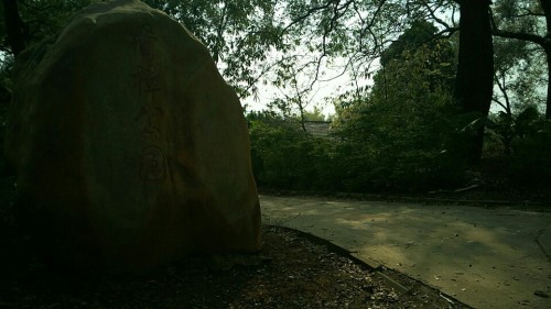 香樟公园旅行图片 1
