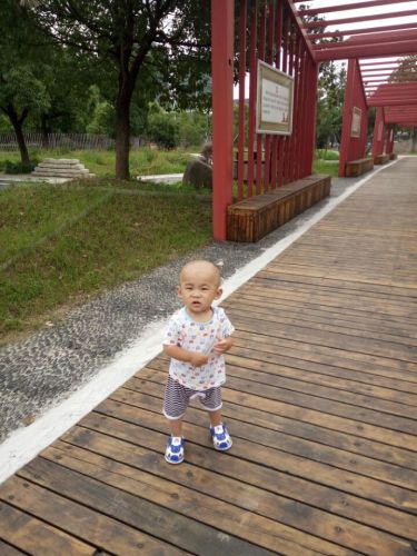 横山公园旅行图片 2