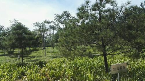 北京亦新公园旅行图片 2