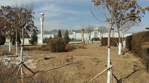 呼格吉乐公园旅行图片 2