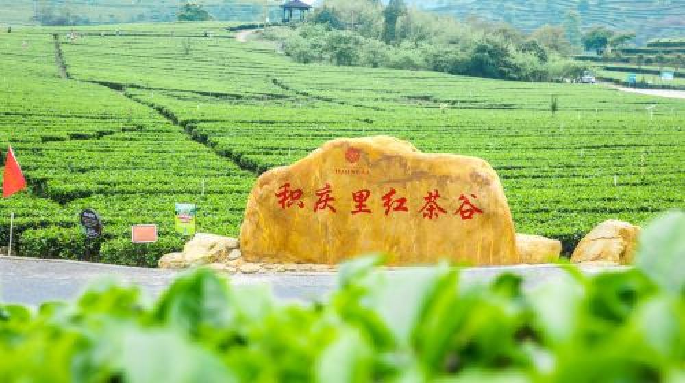 积庆里红茶谷景点图片