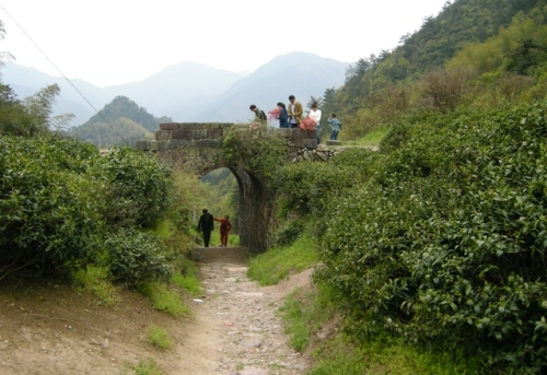 仙霞古道旅行图片 3