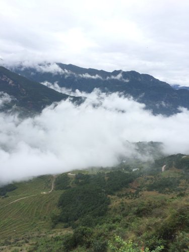中都镇万亩油菜花田旅行图片 3