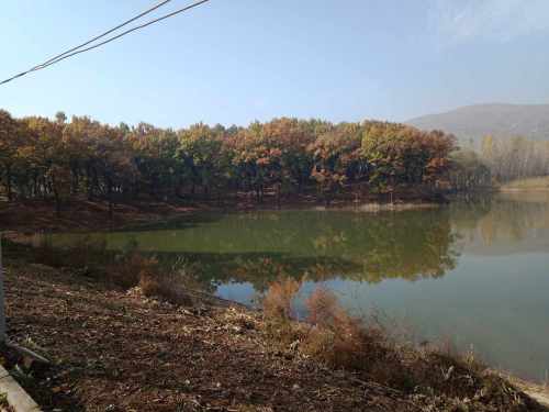 萧县山寓风景区旅行图片 1